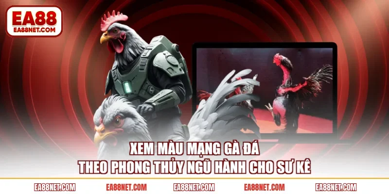 Xem Màu Mạng Gà Đá Theo Phong Thủy Ngũ Hành Cho Sư Kê